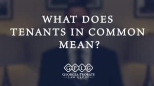 What does tenants in common georgia mean